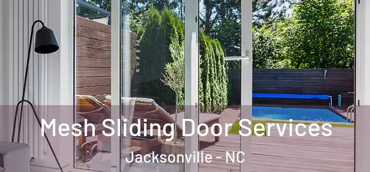 Mesh Sliding Door Services Jacksonville - NC